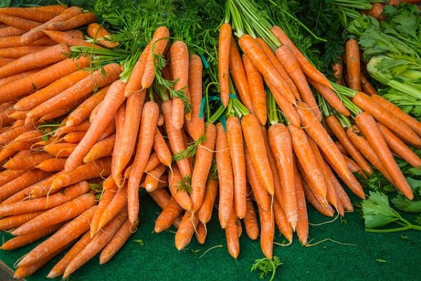 carrot-2309814_640-e1732640911160